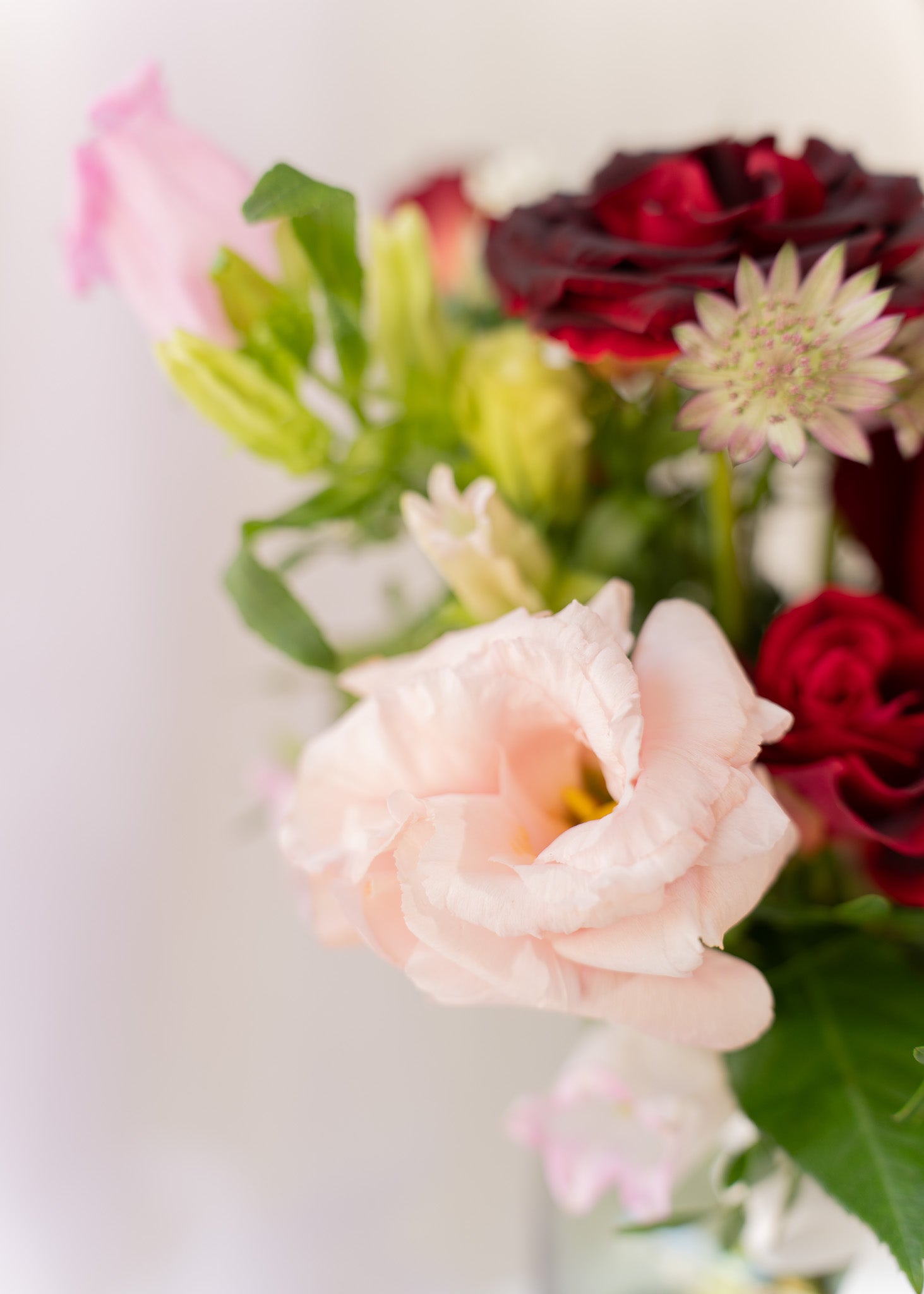 Scarlett Flower in Vase