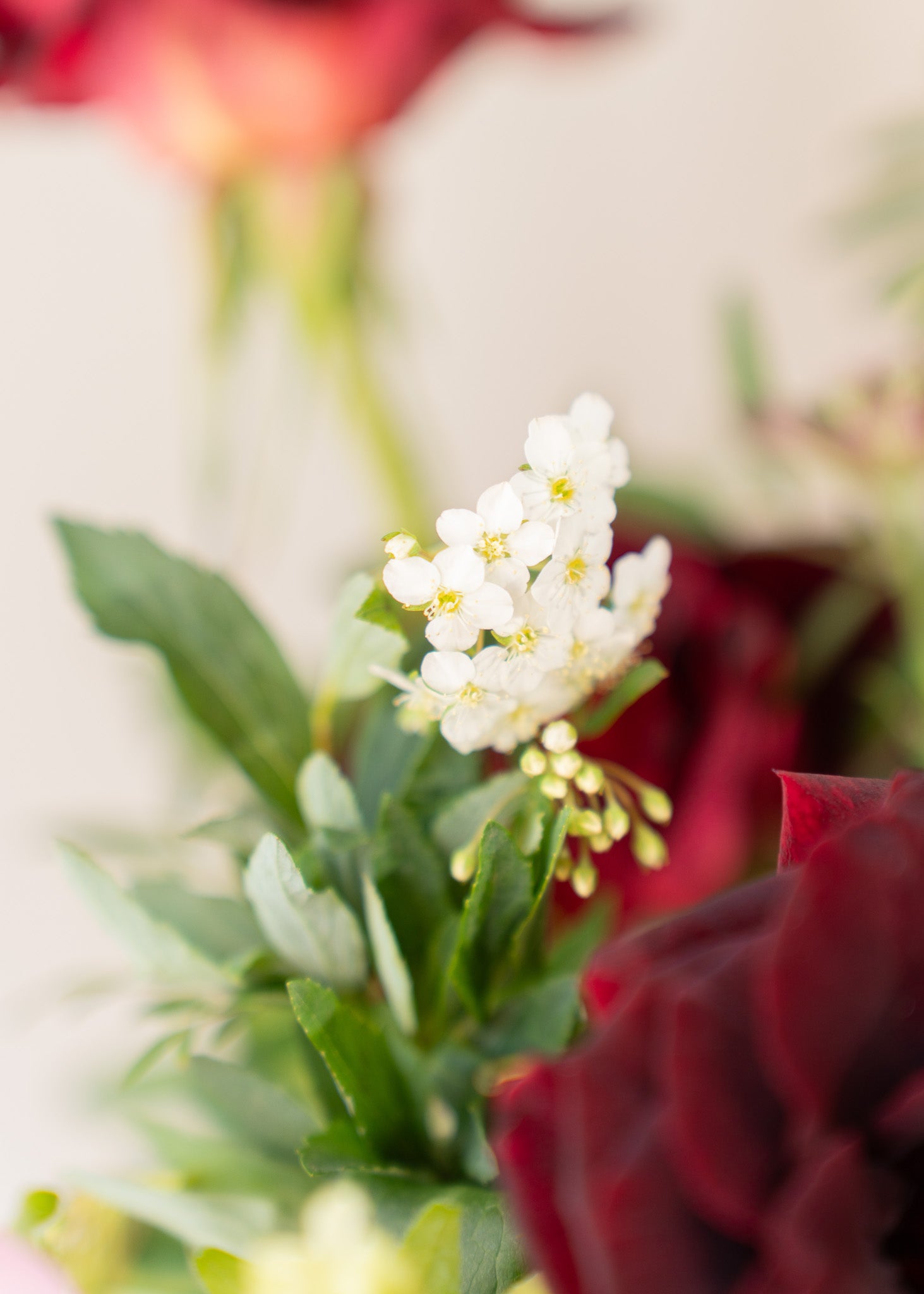 Scarlett Flower in Vase