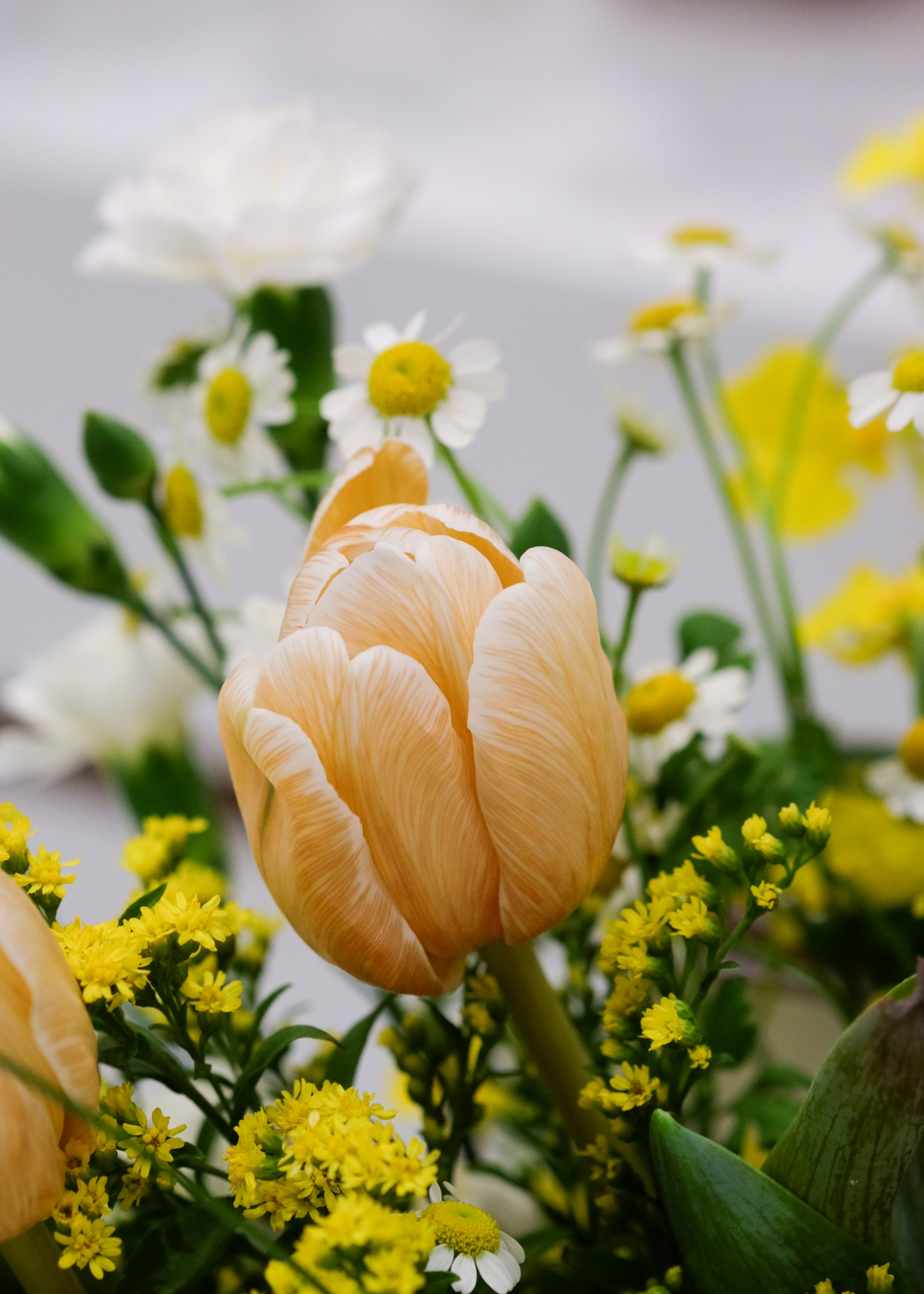 Tulip Bouquet