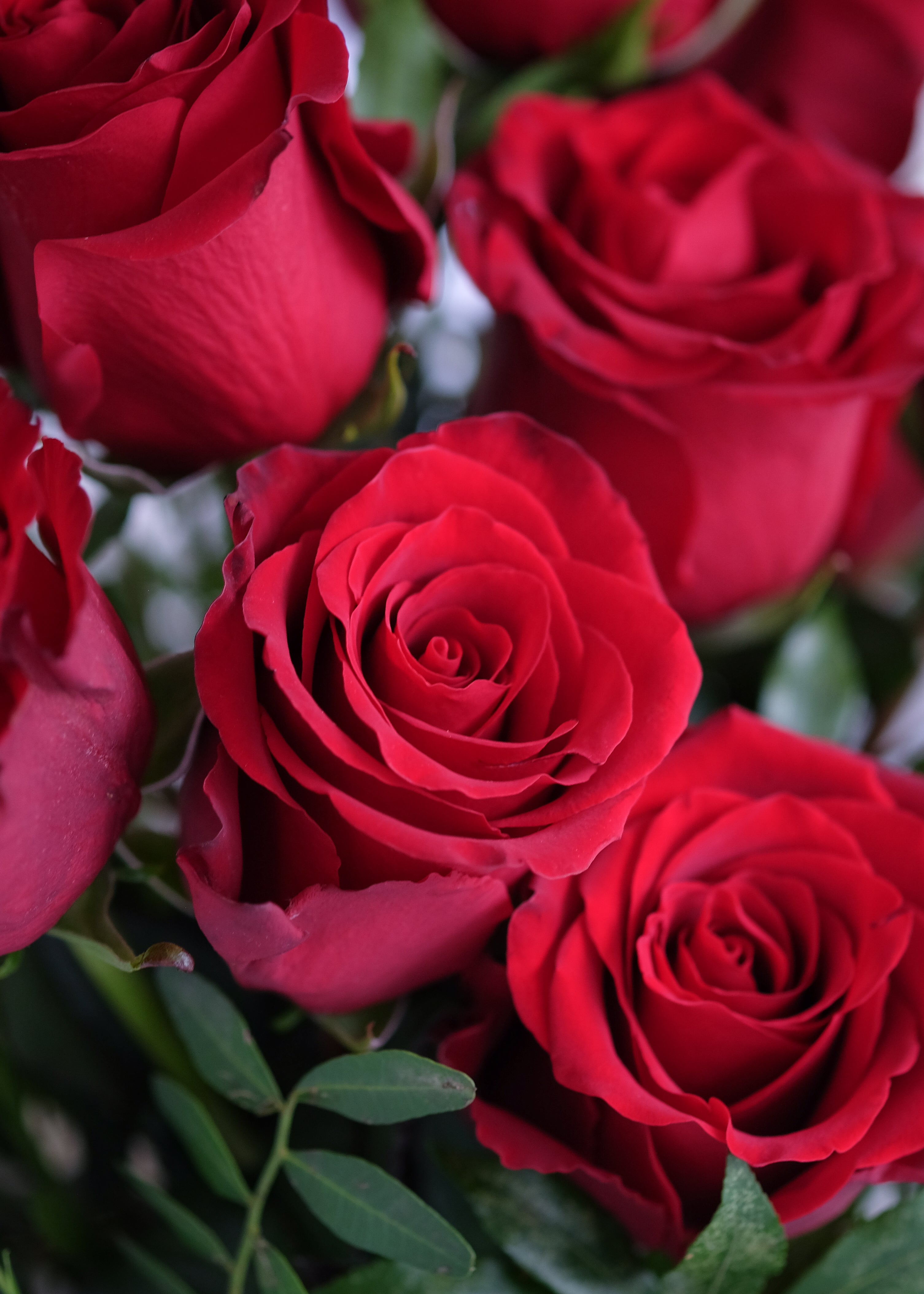 Red Rose Bouquet